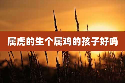 属虎的生个属鸡的孩子好吗