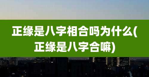 正缘是八字相合吗为什么(正缘是八字合嘛)