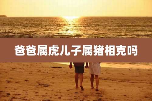 爸爸属虎儿子属猪相克吗