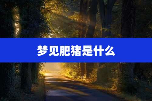 梦见肥猪是什么