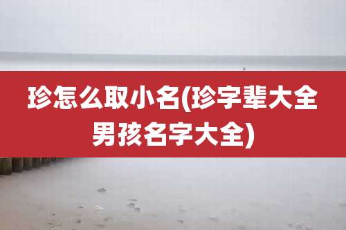 珍怎么取小名(珍字辈大全男孩名字大全)