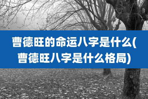 曹德旺的命运八字是什么(曹德旺八字是什么格局)