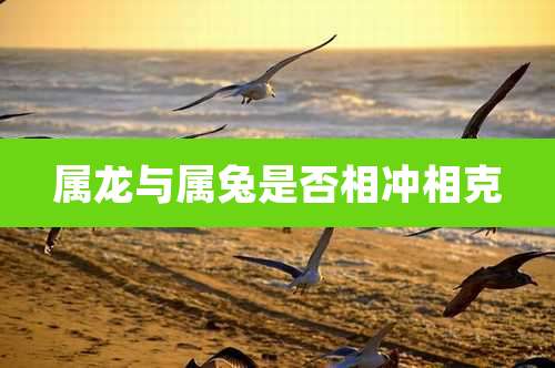 属龙与属兔是否相冲相克