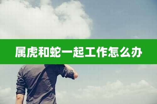 属虎和蛇一起工作怎么办