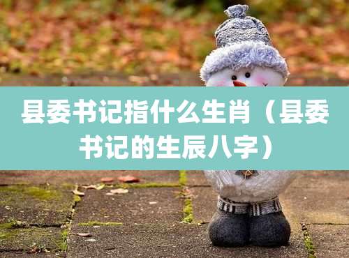 县委书记指什么生肖(县委书记的生辰八字)