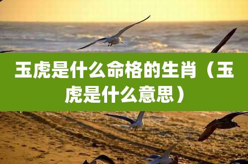 玉虎是什么命格的生肖(玉虎是什么意思)
