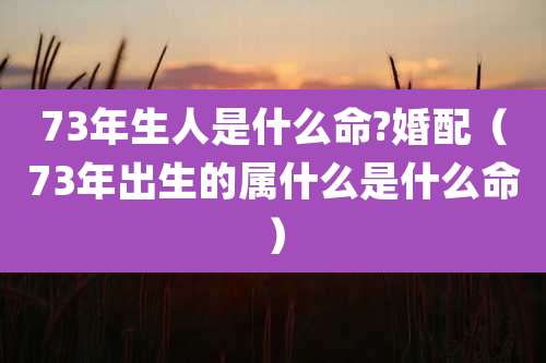 73年生人是什么命?婚配(73年出生的属什么是什么命)