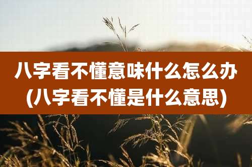 八字看不懂意味什么怎么办(八字看不懂是什么意思)