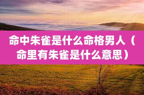 命中朱雀是什么命格男人(命里有朱雀是什么意思)