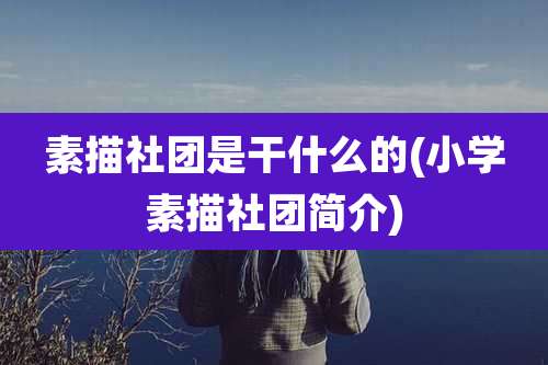 素描社团是干什么的(小学素描社团简介)