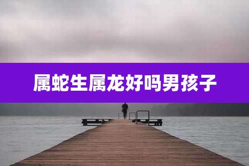 属蛇生属龙好吗男孩子
