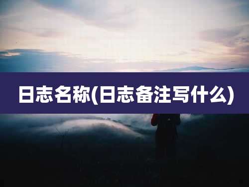 日志名称(日志备注写什么)