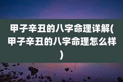 甲子辛丑的八字命理详解(甲子辛丑的八字命理怎么样)