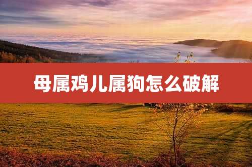 母属鸡儿属狗怎么破解