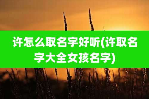 许怎么取名字好听(许取名字大全女孩名字)