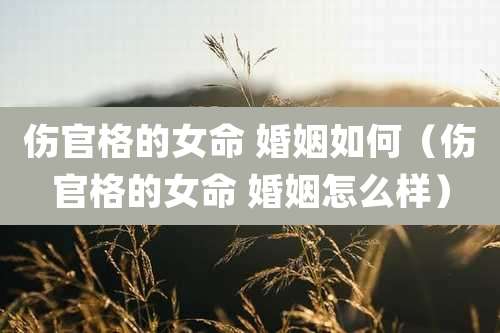 伤官格的女命 婚姻如何(伤官格的女命 婚姻怎么样)