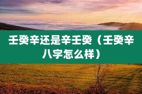 壬癸辛还是辛壬癸(壬癸辛八字怎么样)