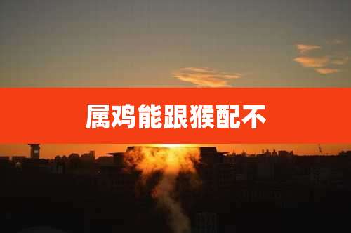 属鸡能跟猴配不