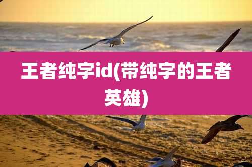 王者纯字id(带纯字的王者英雄)