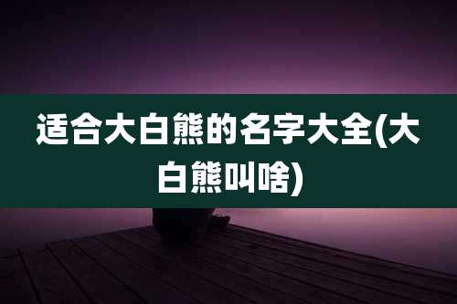 适合大白熊的名字大全(大白熊叫啥)
