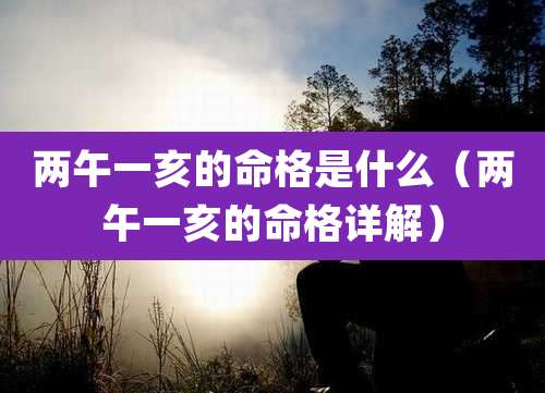 两午一亥的命格是什么(两午一亥的命格详解)