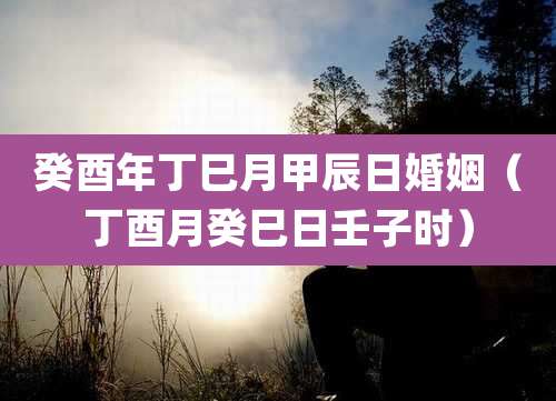 癸酉年丁巳月甲辰日婚姻(丁酉月癸巳日壬子时)