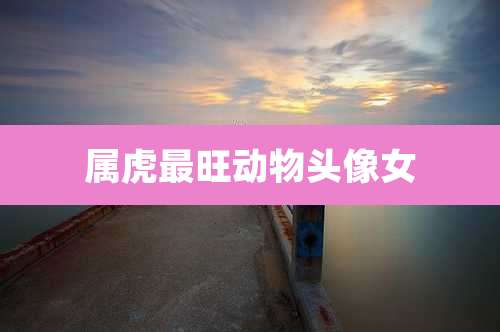 属虎最旺动物头像女