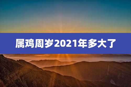 属鸡周岁2021年多大了