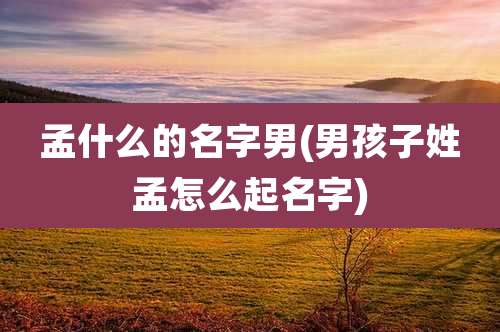 孟什么的名字男(男孩子姓孟怎么起名字)