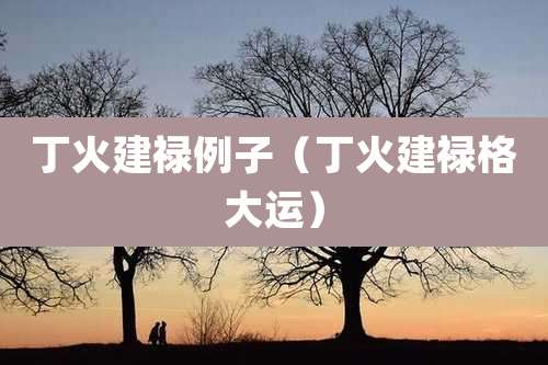 丁火建禄例子(丁火建禄格大运)