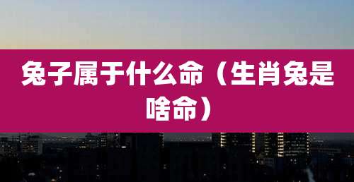 兔子属于什么命(生肖兔是啥命)