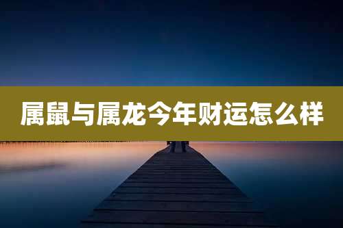 属鼠与属龙今年财运怎么样
