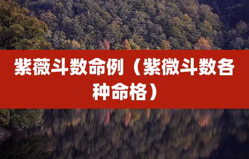 紫薇斗数命例(紫微斗数各种命格)