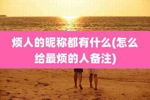 烦人的昵称都有什么(怎么给最烦的人备注)