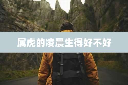 属虎的凌晨生得好不好