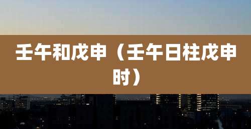 壬午和戊申(壬午日柱戊申时)