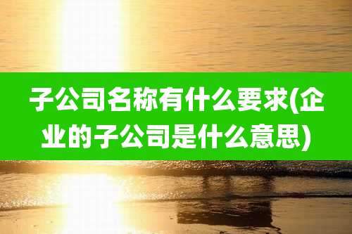 子公司名称有什么要求(企业的子公司是什么意思)