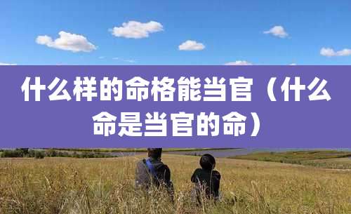 什么样的命格能当官(什么命是当官的命)