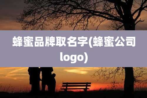 蜂蜜品牌取名字(蜂蜜公司logo)