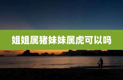 姐姐属猪妹妹属虎可以吗