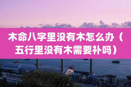 木命八字里没有木怎么办(五行里没有木需要补吗)