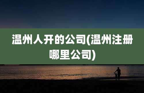温州人开的公司(温州注册哪里公司)