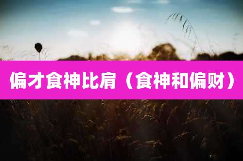 偏才食神比肩(食神和偏财)