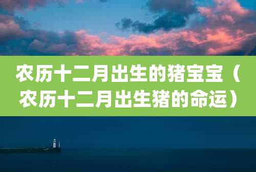 农历十二月出生的猪宝宝(农历十二月出生猪的命运)