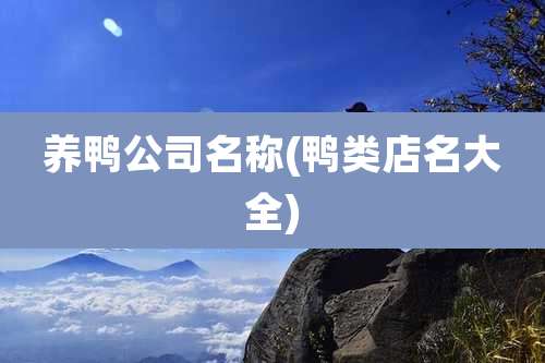 养鸭公司名称(鸭类店名大全)