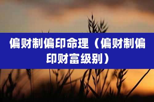 偏财制偏印命理(偏财制偏印财富级别)