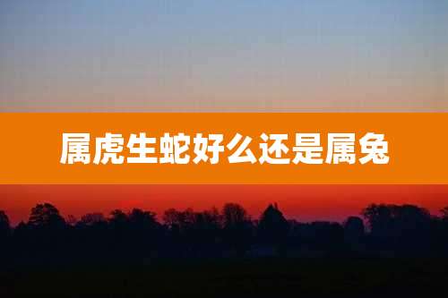 属虎生蛇好么还是属兔