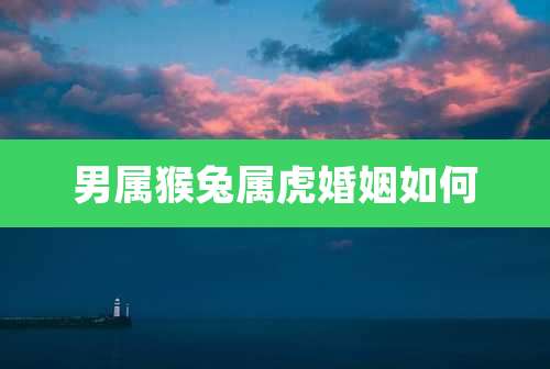 男属猴兔属虎婚姻如何