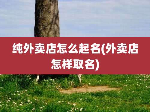 纯外卖店怎么起名(外卖店怎样取名)