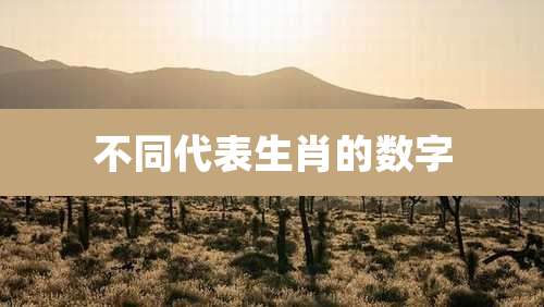 不同代表生肖的数字